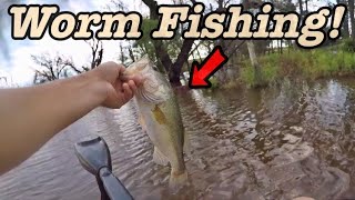 Bass Fishing Texas Rig Worms! by Andrew Morris  170 views 9 months ago 5 minutes, 55 seconds