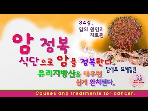 암 정복 34강. 암의 원인과 치료법, 내가 만든 암은 내가 고친다. Causes and treatments for cancer. I fix the cancer I made.