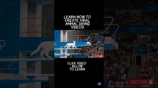Viral Cat Diving Competition| Learn how to create for free #ai #aiautomation #howtomakemoneyonline