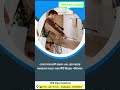 Pest Control in Kolkata / পেস্ট কন্ট্রোল সার্ভিস কলকাতা