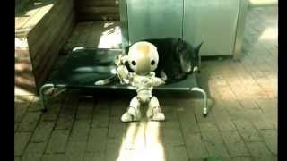 Dancing Robot #FXGURU