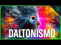 DALTONISMO 🌈 Qué es y cómo ven los colores | Todo lo que no sabías de esta enfermedad