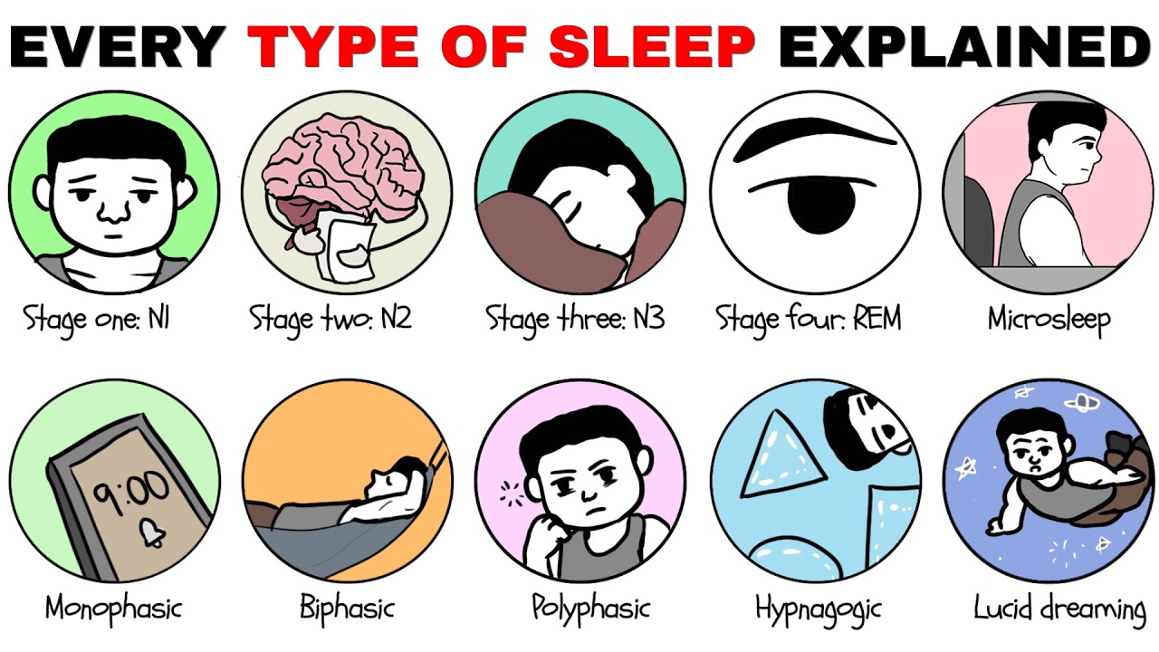 Sleep Explained Every Type Of Sleep Explained - YouTube