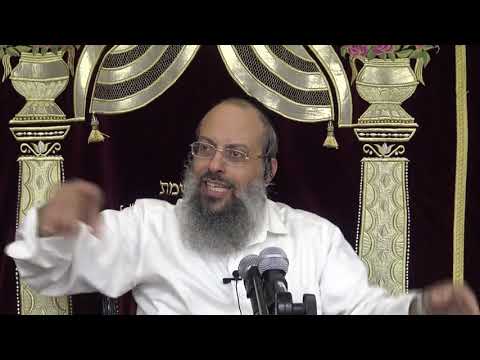 פרשת קדושים | לך אל הנמלה | שורש העצלות