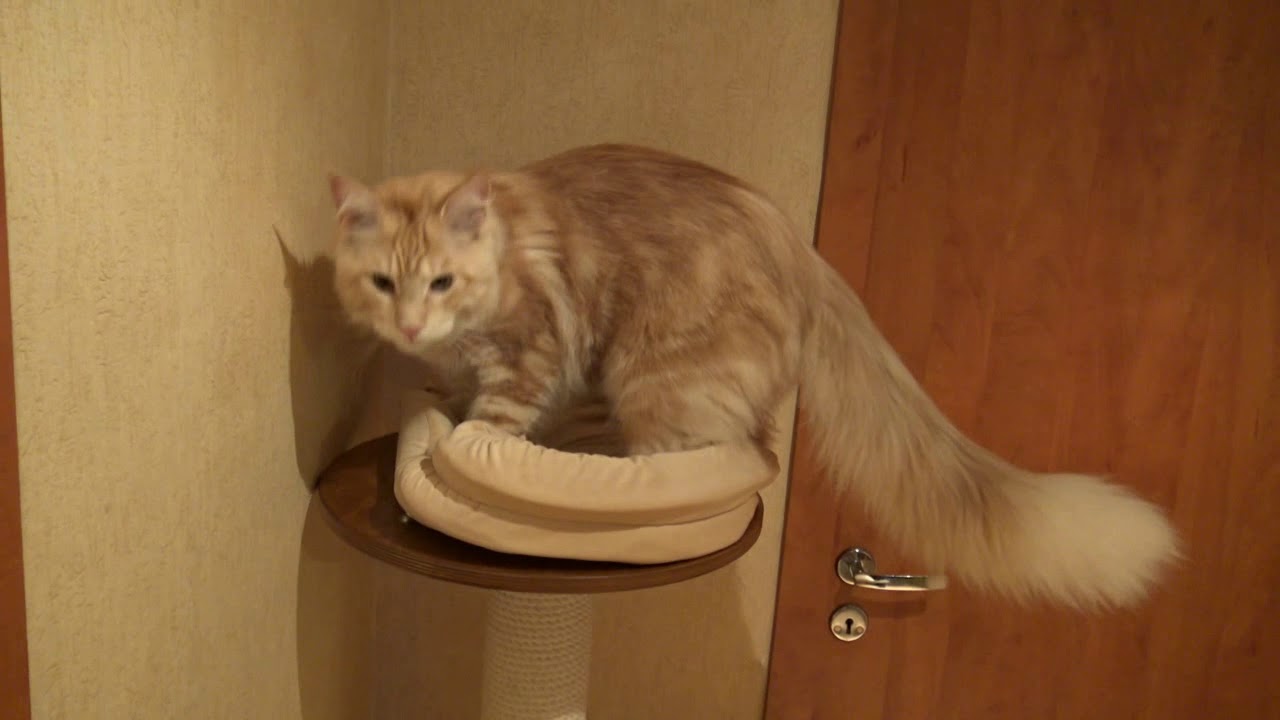 каждому по факту рядом нужен человек - YouTube