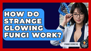 How Do Strange Glowing Fungi Work? - Strange Science HQ