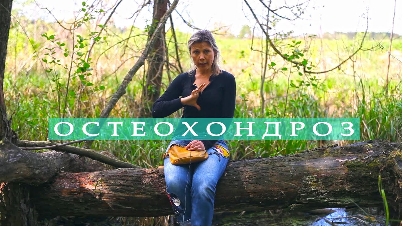 Осаго простым языком