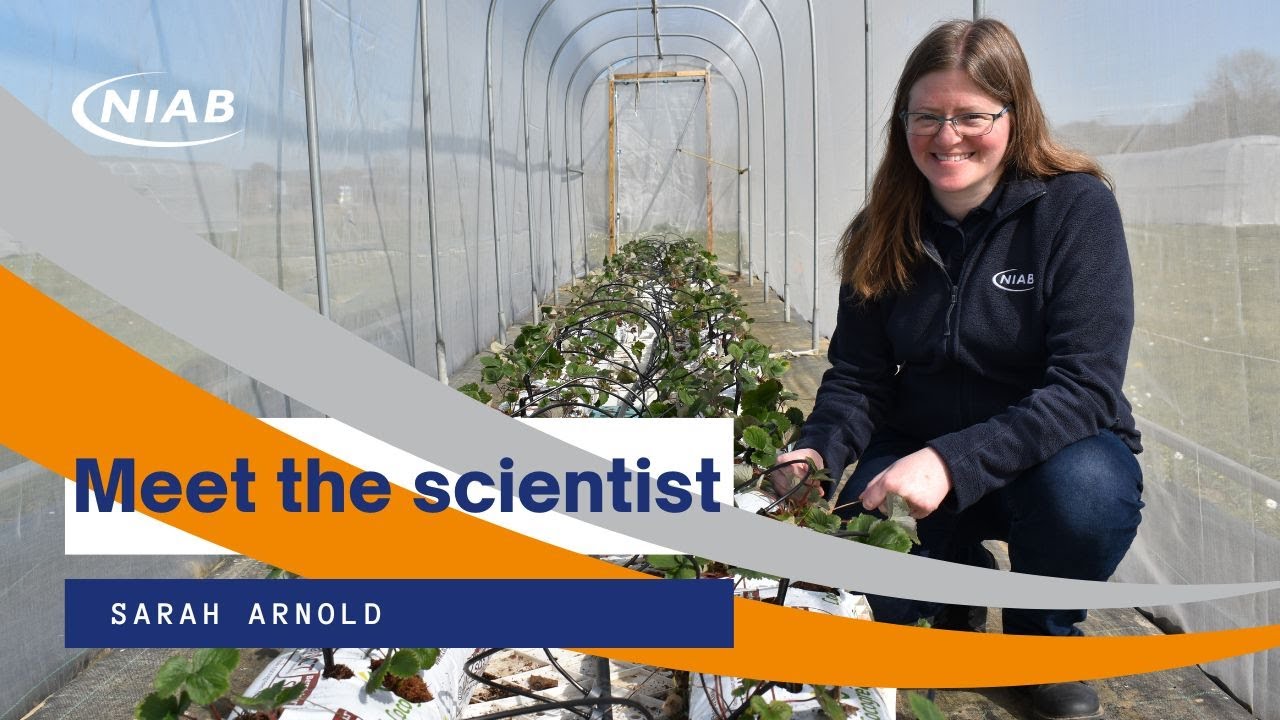 Meet the Scientist: Sarah Arnold