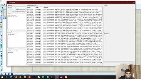 EEED251 Blinking LEDs using MPLAB and Proteus