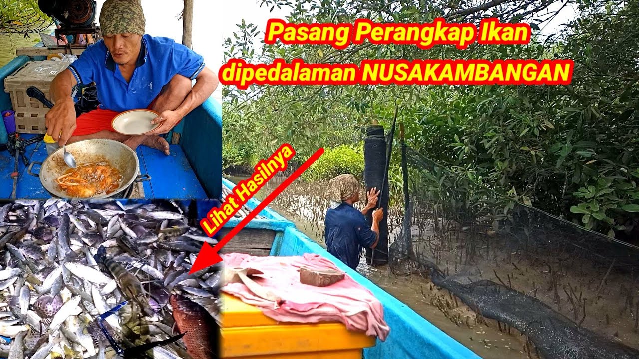 Luar Biasa!! Pasang Perangkap diPedalama NUSAKAMBANGAN dan Bermalam Langsung Masak Udang Galah Kriuk