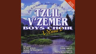 Video thumbnail of "Tzlil V'zemer Boys Choir - Aibishter"