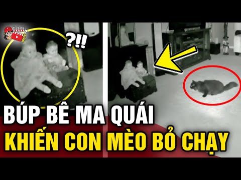 Thấy mèo cưng có 'BIỂU HIỆN LẠ', người phụ nữ 'KIỂM TRA CAMERA' lập tức sợ khiếp vía | Tin 3 Phút