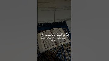 فصبر جميل || حالات واتس اب قرآن ||راحة نفسية 💙|| اجمل حالات واتس قران كريم 🌿||حالات دينيه