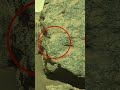 This Mars Image Stopped Me Cold | Mars 4k Video | Mars In 4k | Mars #shorts