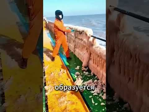 Почему корабли покрываются льдом в ледяных водах?