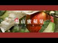 無毒農開箱囉｜甜莃果園－梨山蜜蘋果 feat.產地直送