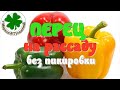 ПЕРЕЦ на рассаду – посев семян БЕЗ ПИКИРОВКИ. БЕСПЛАТНЫЕ СТАКАНЫ для рассады. ПОРА! [07.02.2020]