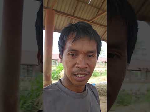 ของโปรดของชอบเมย์จ๋า❤️❤️❤️