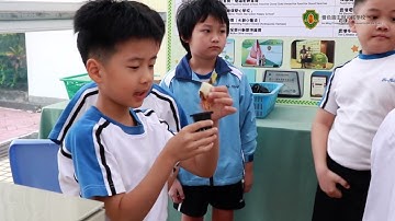 可銘特色科學科活動——水耕種植 🌱