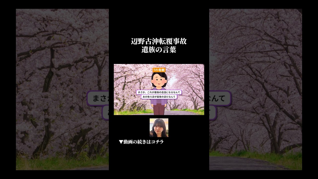 辺野古沖抗議船転覆事故の全貌 #ずんだもん #ゆっくり解説 #事件