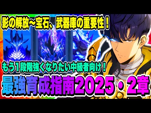 【俺アラ】最強育成指南2025・2章！影の開放、宝石、武器庫強化の重要性がわかる！もう一段階強くなりたい中級者向け！コツコツが大切！！！【俺だけレベルアップな件・ARISE・公認クリエイター】
