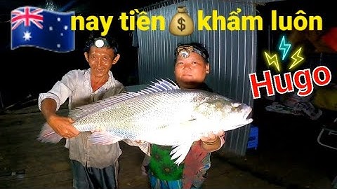 Vừa Nhận Quà Từ Úc Châu, Hugo Liền Dính Lưới Anh Em Nhà Tùng 66TV | #66TV