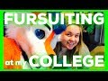 FURSUITING to my COLLEGE CLASSES!?