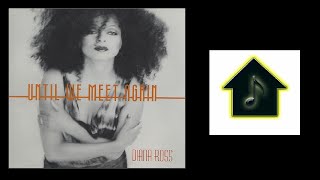 Diana Ross - Until We Meet Again (Hex Hector Radio Mix)