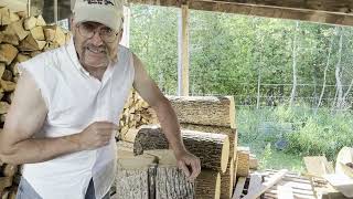 How long is too long?  Problems that arise if you leave logs too long before you split handle wood