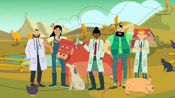 What can we do to fight antimicrobial resistance (AMR)?
