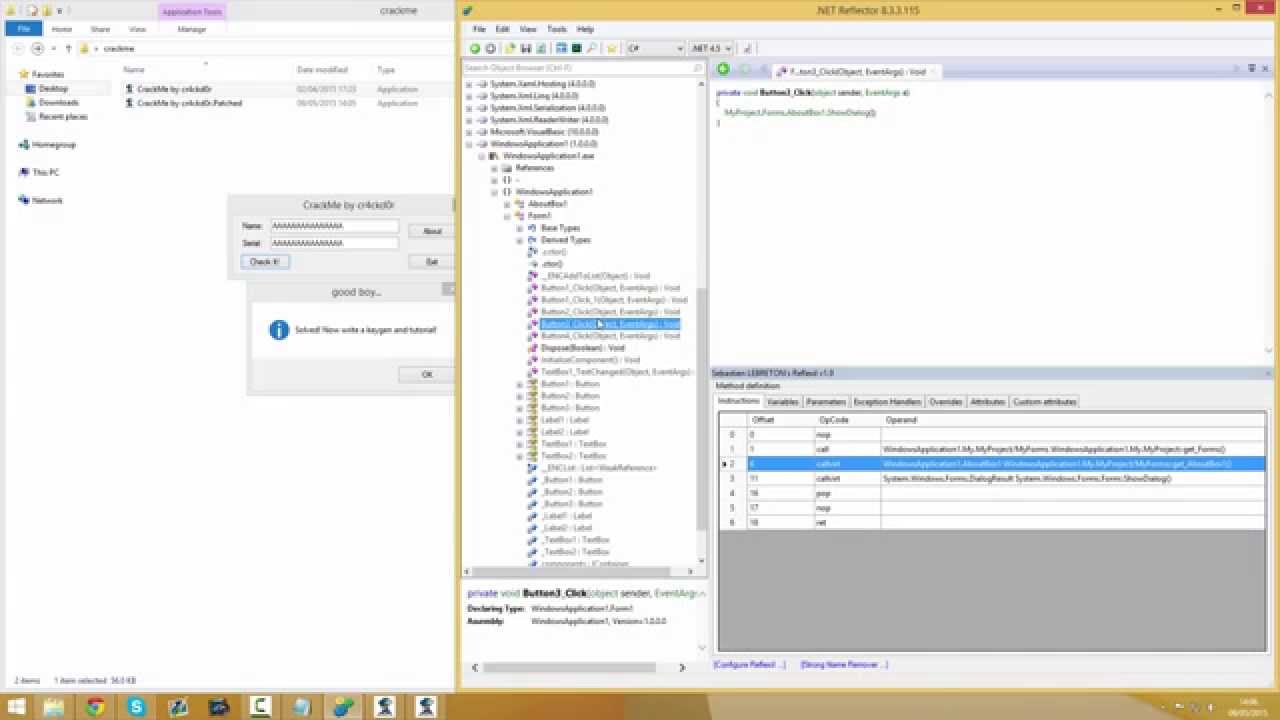 Net Reverse Engineering