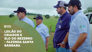 TERRA PECUÁRIA - LEILÃO DO CRIADOR E LEILÃO ELO DO BEZERRO - FAZENDA SANTA BÁRBARA