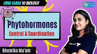 Class 10: Phytohormones | Control & Coordination | Visualizing Science | Bhumika Ma'am