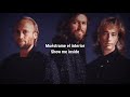 Bee Gees Overnight Subtitulada Al Español Y Ingles mp3