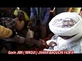 ZIYARAR GAUSI ALMUSTAPHA MAHDI A BAUTCHI 1439 H Mp3 Song