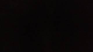 Çılgın Dedektif 2