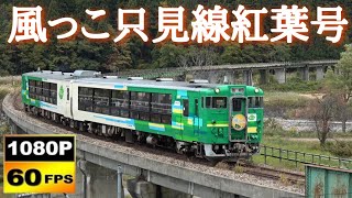 キハ40系 臨時快速 風っこ只見線紅葉号通過集　/Japanese Diesel Train KIHA40Series KAZEKKO Tadami Line