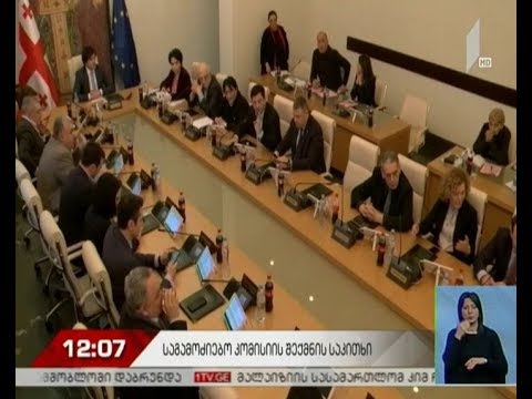 „ევროპული საქართველოს“ ინიციატივა