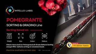India's First AI Pomegranate Sorting Machine!!