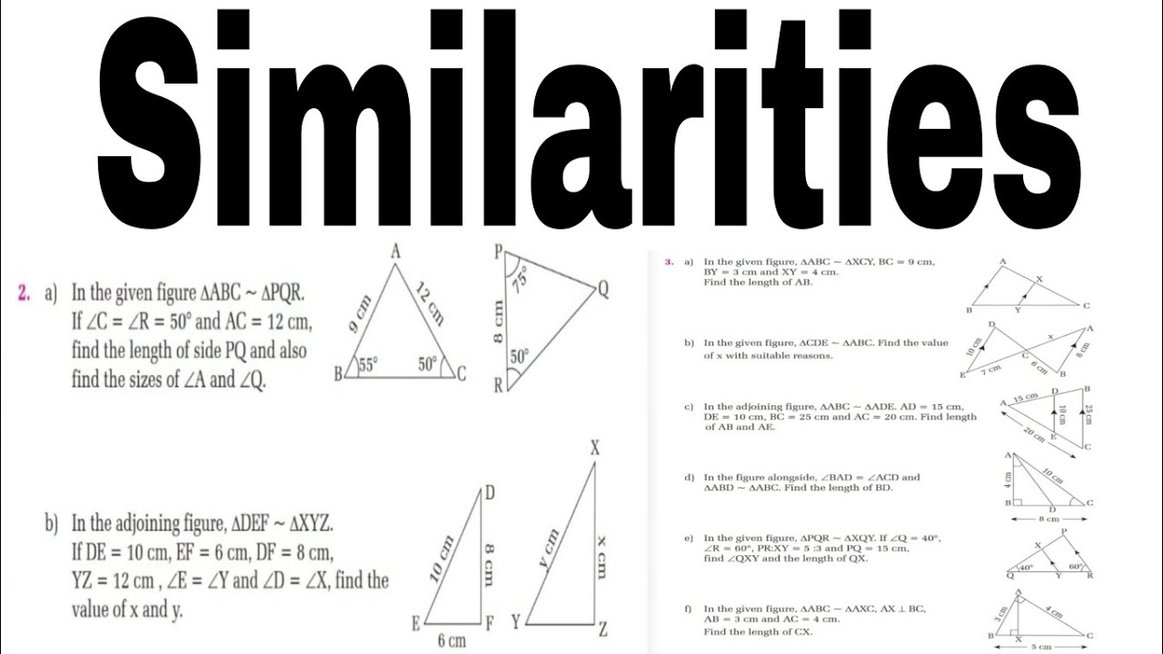 Similarities, geometry triangle (14.3) vedanta excel mathematics publication complete exercises 