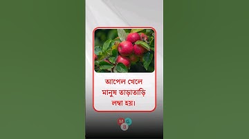 general knowledge || quiz | spinal cord । part-117