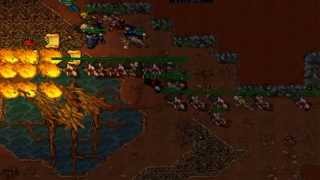 Exevo gran mas flam para los bots - Tibia