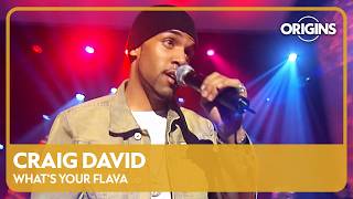 Craig David - What's Your Flava [Live]
