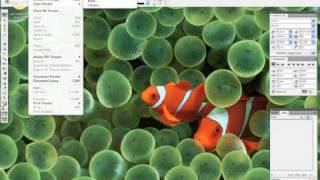 Episode 5: This Fish Needs Grayscales screenshot 5