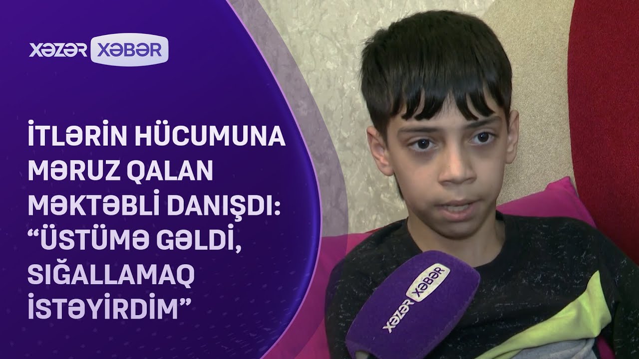 İtlərin hücumuna məruz qalan məktəbli DANIŞDI: “Üstümə gəldi, sığallamaq istəyirdim”