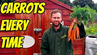 Growing Carrots from SEED to HARVEST (UK)