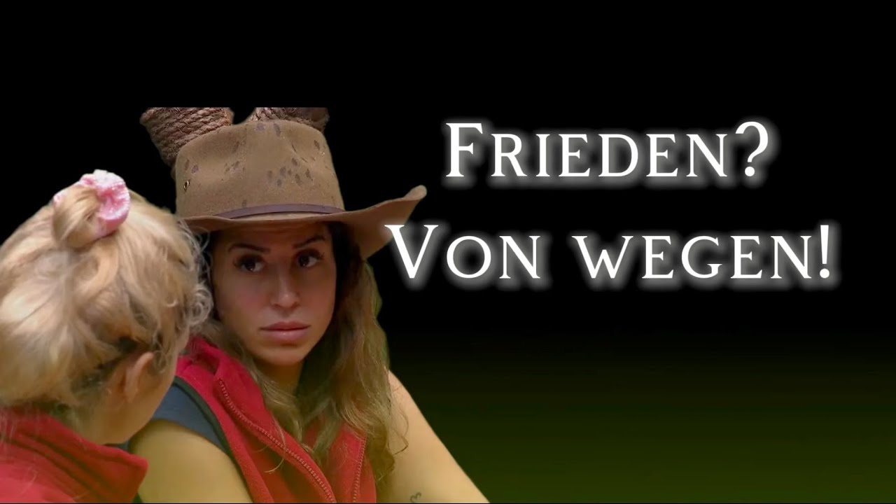 Dschungelcamp Tag 7: Neun Sterne – und trotzdem keine Versöhnung