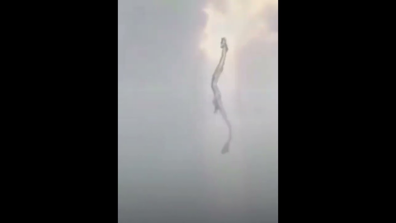 Real dragon๐๐flying in the air|#dragon|#unknownscientistf