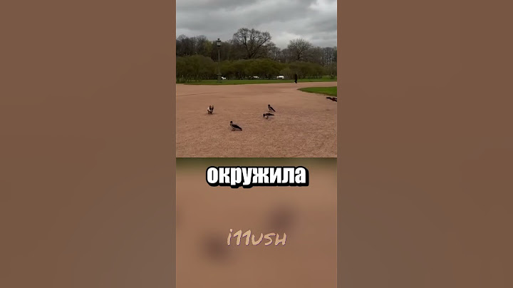Мы тебя запомнили, такса