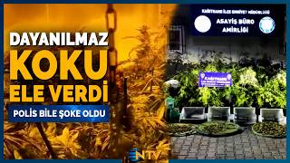 Komşulardan Gelen Koku İhbarı, Akılalmaz Gerçeği Ortaya Çıkardı Ntv